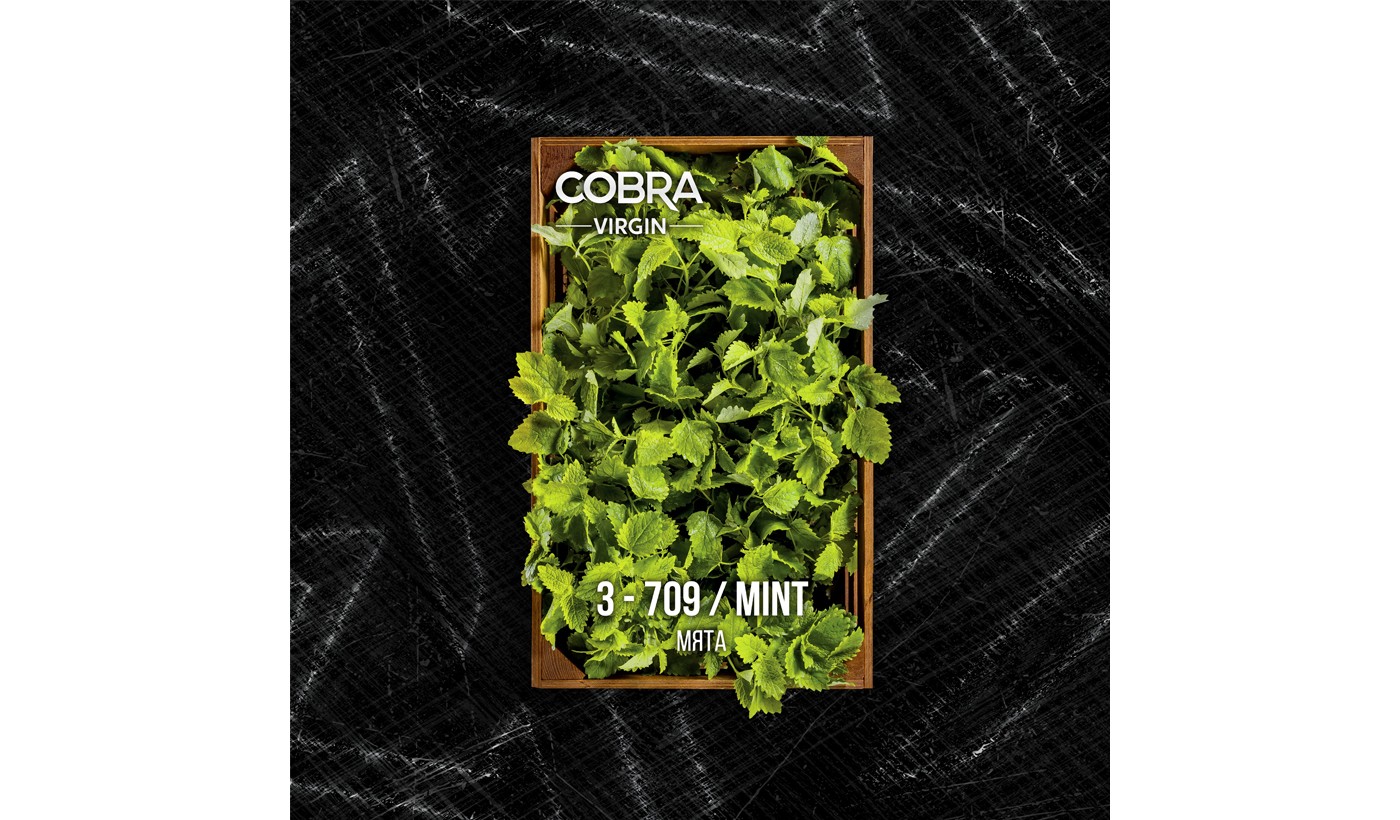 Mélange de narguilé Cobra Virgin Mint (menthe) 50 g